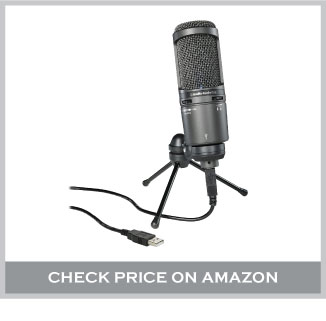 best mic for dictation