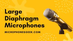 best large diaphragm condenser microphone