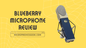 Blue Blueberry Microphone Review