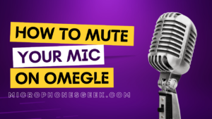 How To Mute Your Mic On Omegle